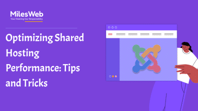 Optimizing Shared Hosting Performance_ Tips and Tricks